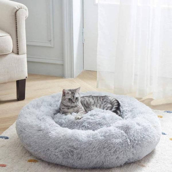¿Quieres que tu gato viva más cómodo?