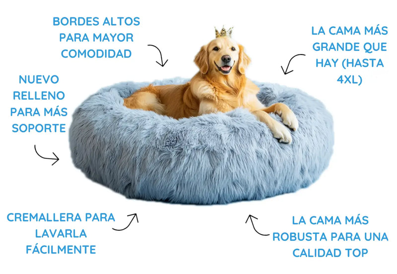 <strong>5 razones para elegir</strong> <br><em>ela reina de las camas</em>
