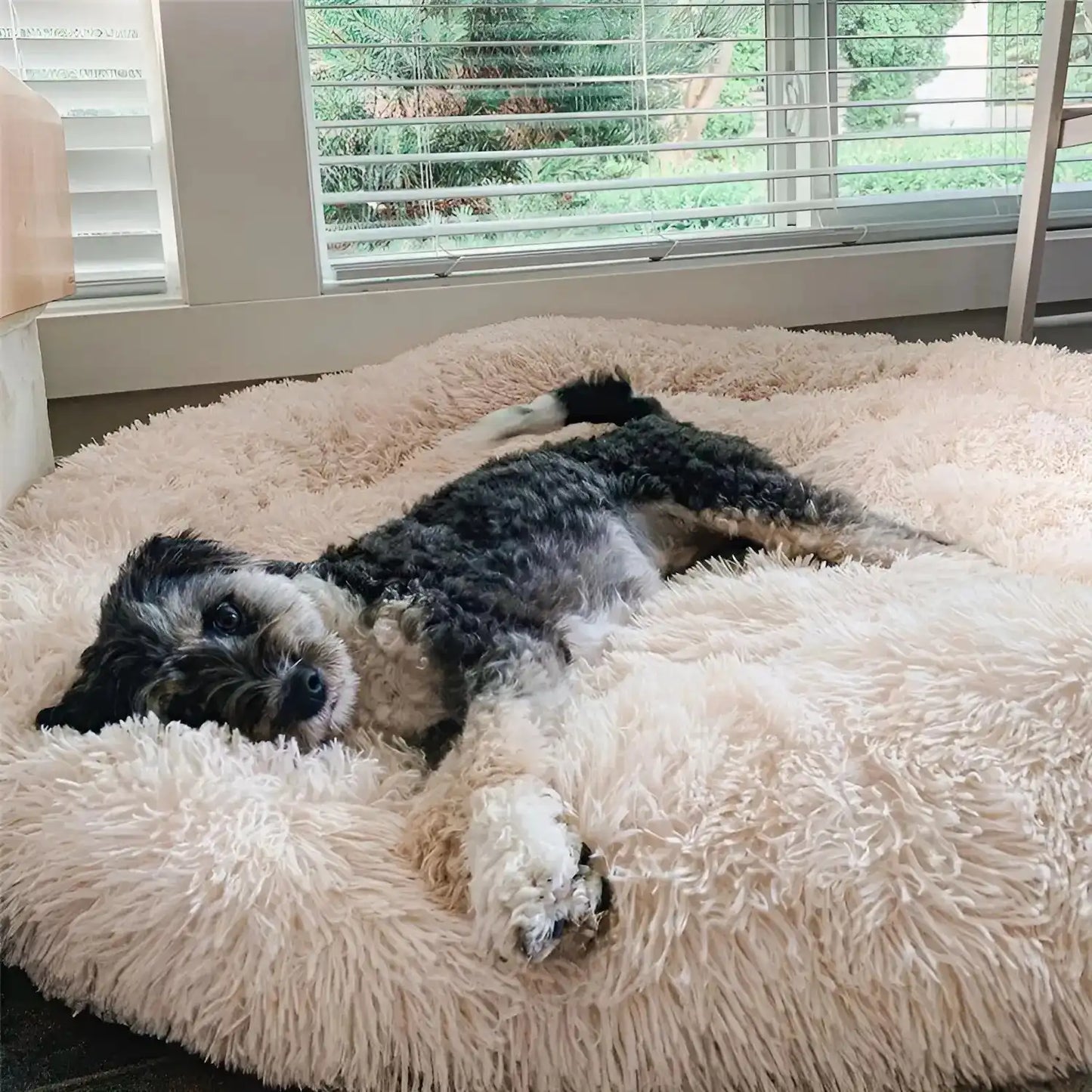 MrFluffyFriend - Cama Premium Para Perros
