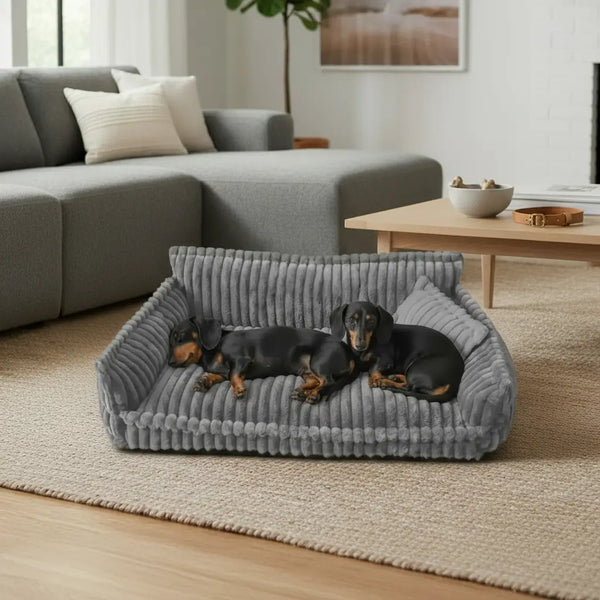 ¿Por qué a quienes tienen perro les encanta?